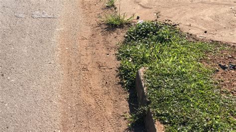 Condutor Abandona Ve Culo Ap S Colidir Em Poste Na Av F Tima Porto