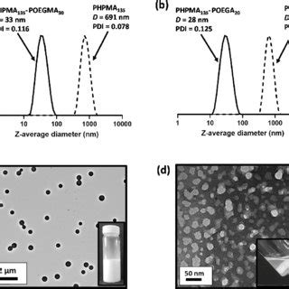 Normalized Dls Intensity Average Particle Size Distributions Recorded