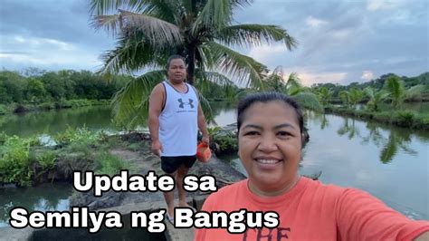 Update Sa Semilya Ng Bangus Trick Or Treat Vlog Youtube