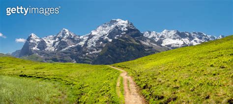 The Panorama Of Bernese Alps With The Monch Eiger And Jungfrau And Too