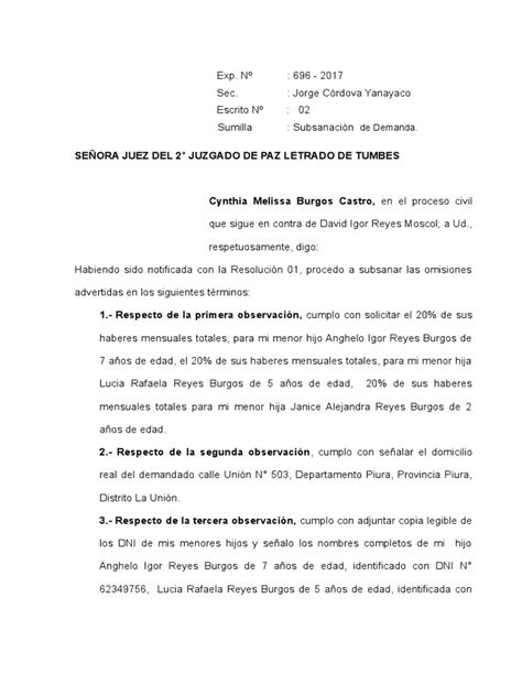 Escrito De Subsanacion Demanda Judicial Gobierno