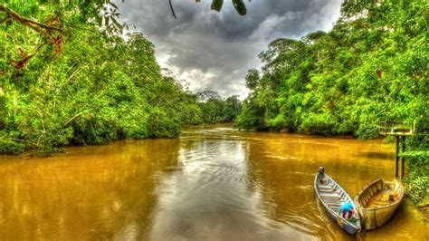 Parque Nacional Yasuní Una guía completa para los visitantes de