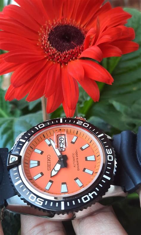 Seiko Stargate Diver Mens Fashion Watches And Accessories Watches On