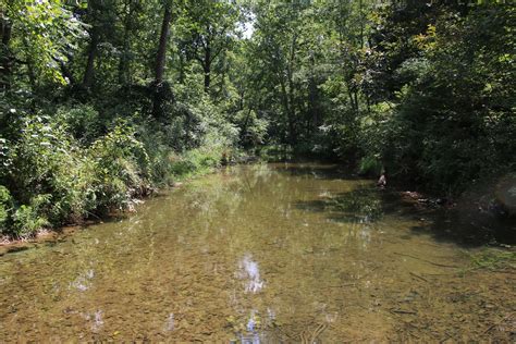 2998 Acres In Frederick County Virginia
