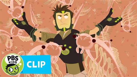 Wild Kratts Chris