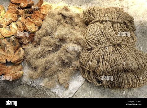 Coir Husk Hi Res Stock Photography And Images Alamy