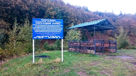 Сарва