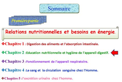 Activité 1 Rôle des aliments Preparia