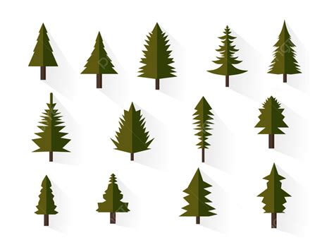 Pine Tree Vector Illustration Collection And Wilderness Objects To