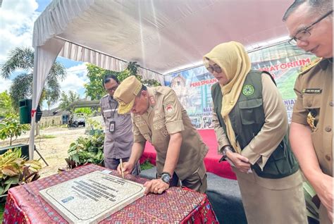 Ntb Optimis Wujudkan Swasembada Pangan Nasional Flash Lombok