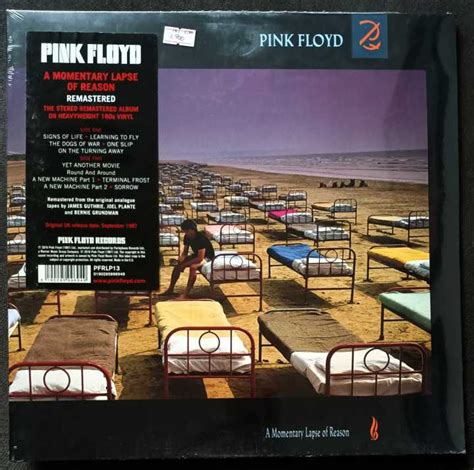 Pink Floyd A Momentary Lapse Of Reason Vinyl Lp Plaka The Grey