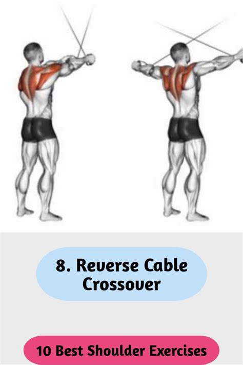 Cable Crossover Machine Back Exercises Rhea Medley