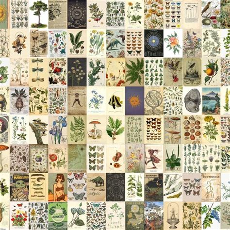 115 Pcs Botanical Poster Wall Collage Kit Vintage Poster Etsy