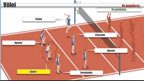 Posições do Vôlei Funções guia completo imagens Apostas