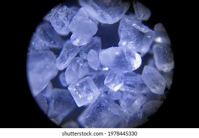 15 Microscope Image Sugar Spice Images, Stock Photos, 3D objects, & Vectors | Shutterstock