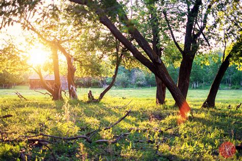 Old Summer - Landscape Photography with Fuji X-Pro1 — MiKSMedia Photography