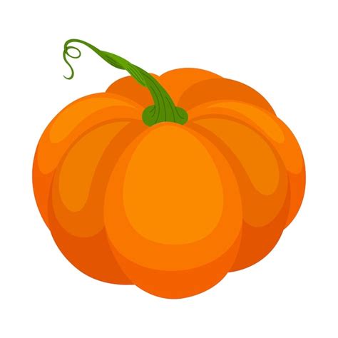 Premium Vector Vector Vector Orange Pumpkins Isolated On White Background