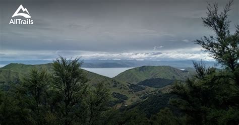 Best hikes and trails in Mahia Peninsula Scenic Reserve | AllTrails