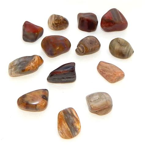 Petrified Wood tumbled stone to access knowledge from within-