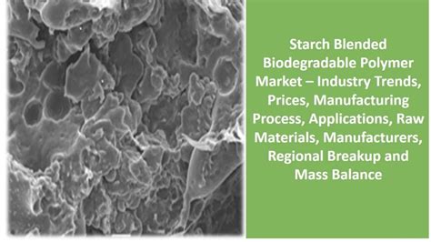 Starch Blended Biodegradable Polymer Market Report Polymer