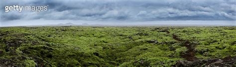 Beautiful Panorama Of The Amazing Volcanic Mossy Landscape Lava Fields In Iceland Panorama Of