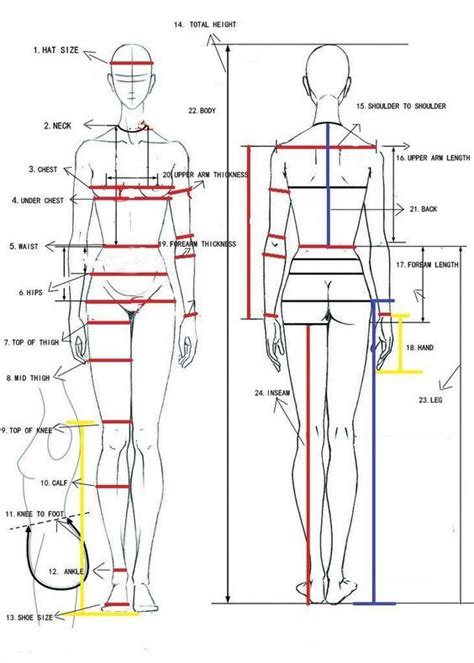 Wedding Dress Measuring Guide How To Take Measurements Etsy Artofit