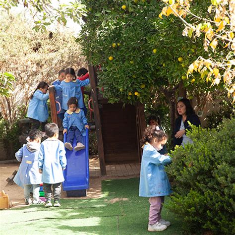 Ángel de la Guarda Colina Fundación Educacional Choshuenco