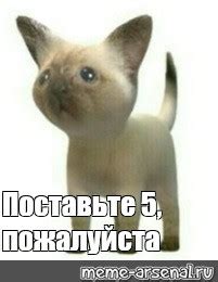 Мем: "Поставьте 5, пожалуйста" - Все шаблоны - Meme-arsenal.com