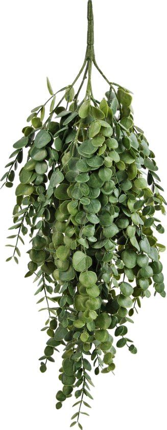 Greenmoods Kunstplanten Kunstplant Hangplant Eucalyptus 76 Cm Bol