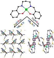 Influence Of Non Covalent Interactions On The Coordination Geometry Of