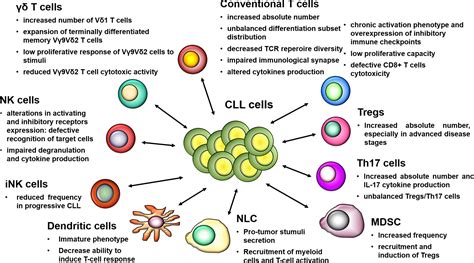 Acquired Immune Deficiency Syndrome As Related To Acute Lymphocytic