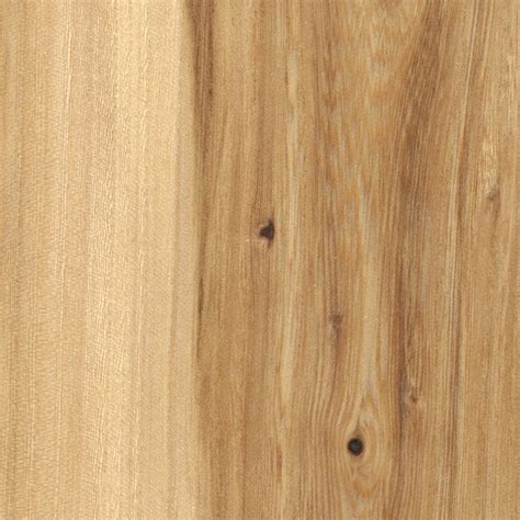 American Elm The Wood Database Hardwood