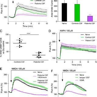 Functional Assay Of N Methyl D Aspartate Nmda Receptor Nmdar