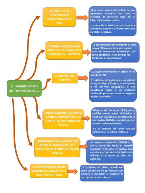 Mapa Conceptual Desarrollo Personal Mente Metafísica De La Mente