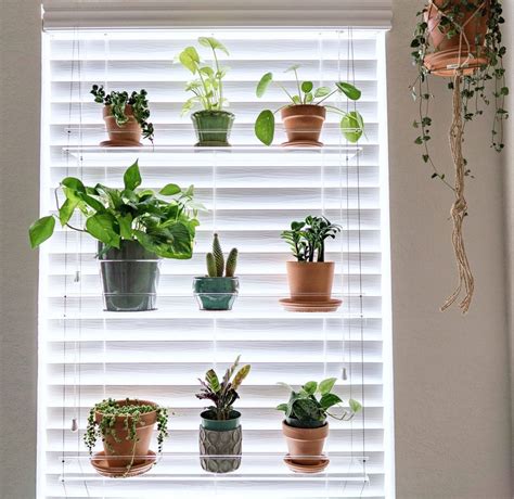 IndoorWindowGardens Window Hanging Plant Shelf