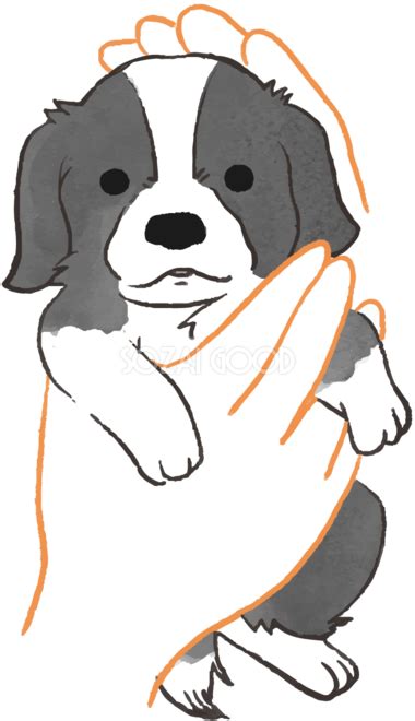 ボーダーコリー子犬抱っこされたかわいい犬の無料イラスト70651 素材good