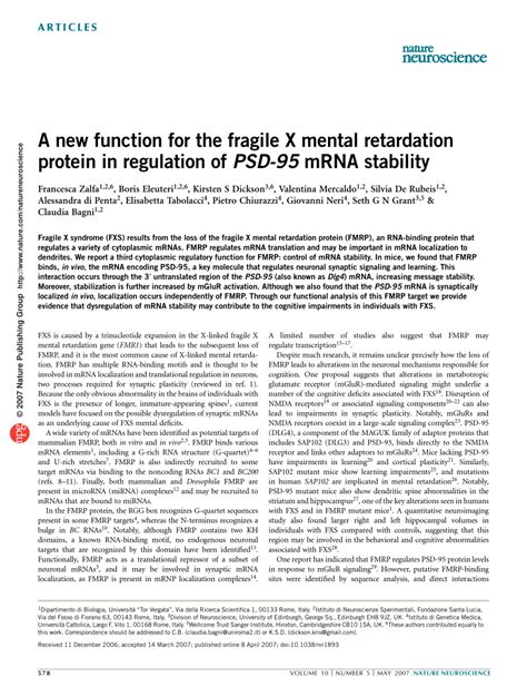 Pdf A New Function For The Fragile X Mental Retardation Protein In