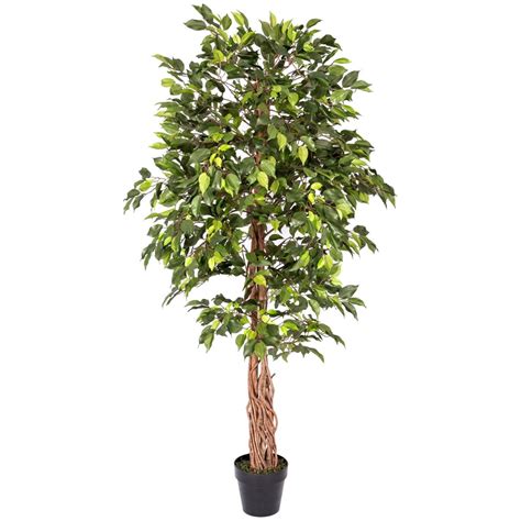 Green Artificial Ficus Tree With Twisted Real Wood Trunk 6 Ft