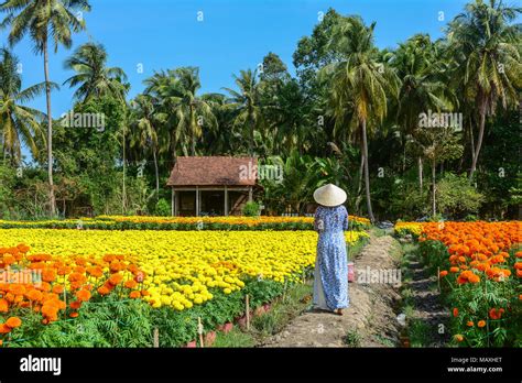 Una Mujer Vietnamita En Traje Tradicional Ao Dai Caminar En Los