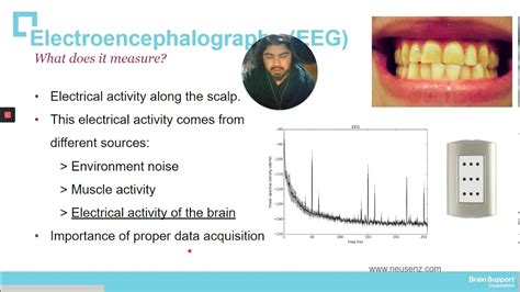 Emotions And Cognition Neuroscience Of Perception Perception And