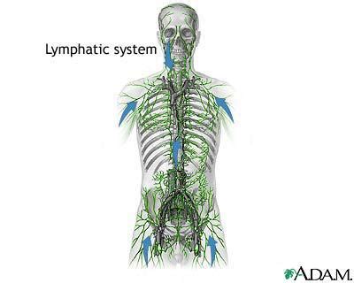 Diseases: Lymphatic System Diseases