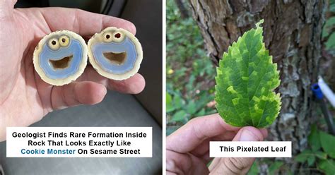 times people share mildly interesting