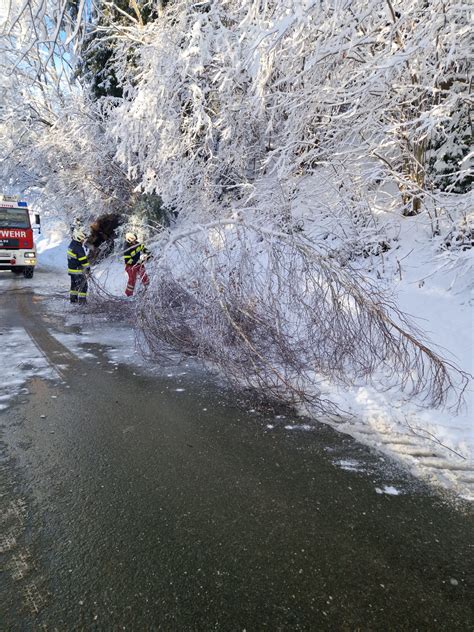 Bäume entfernen Freiwillige Feuerwehr Scheifling