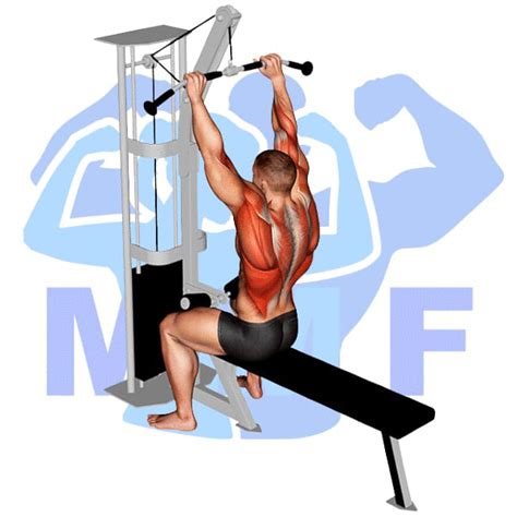 Neutral Grip Lat Pulldown Easy Guide For Spectacular Results