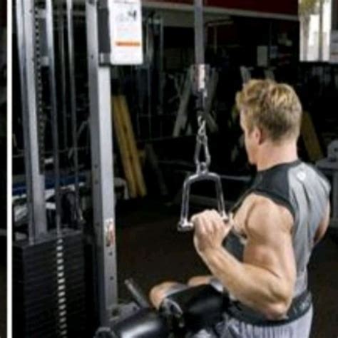 Single Arm Cable Lat Pulldown by Zunaid S. - Exercise How-to - Skimble