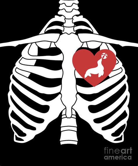 Rib Cage Heart Drawing Clipart