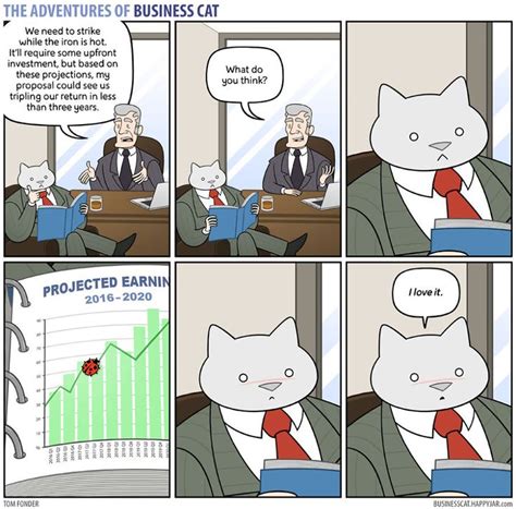 If Your Boss Was A Cat Business Cat Funny Cat Memes Cute Cat Memes