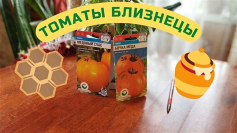 ТОМАТЫ БЛИЗНЕЦЫ. БОЧКА МЕДА И МЕДОВЫЙ СПАС. ЕСТЬ ЛИ РАЗНИЦА? - YouTube