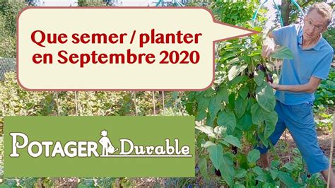 Que Semer Ou Planter En Septembre Au Potager Youtube