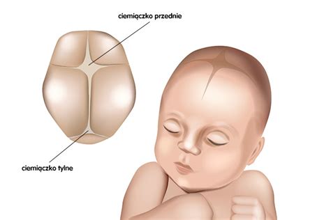 Ciemiączko co warto o nim wiedzieć Nestlé Baby me